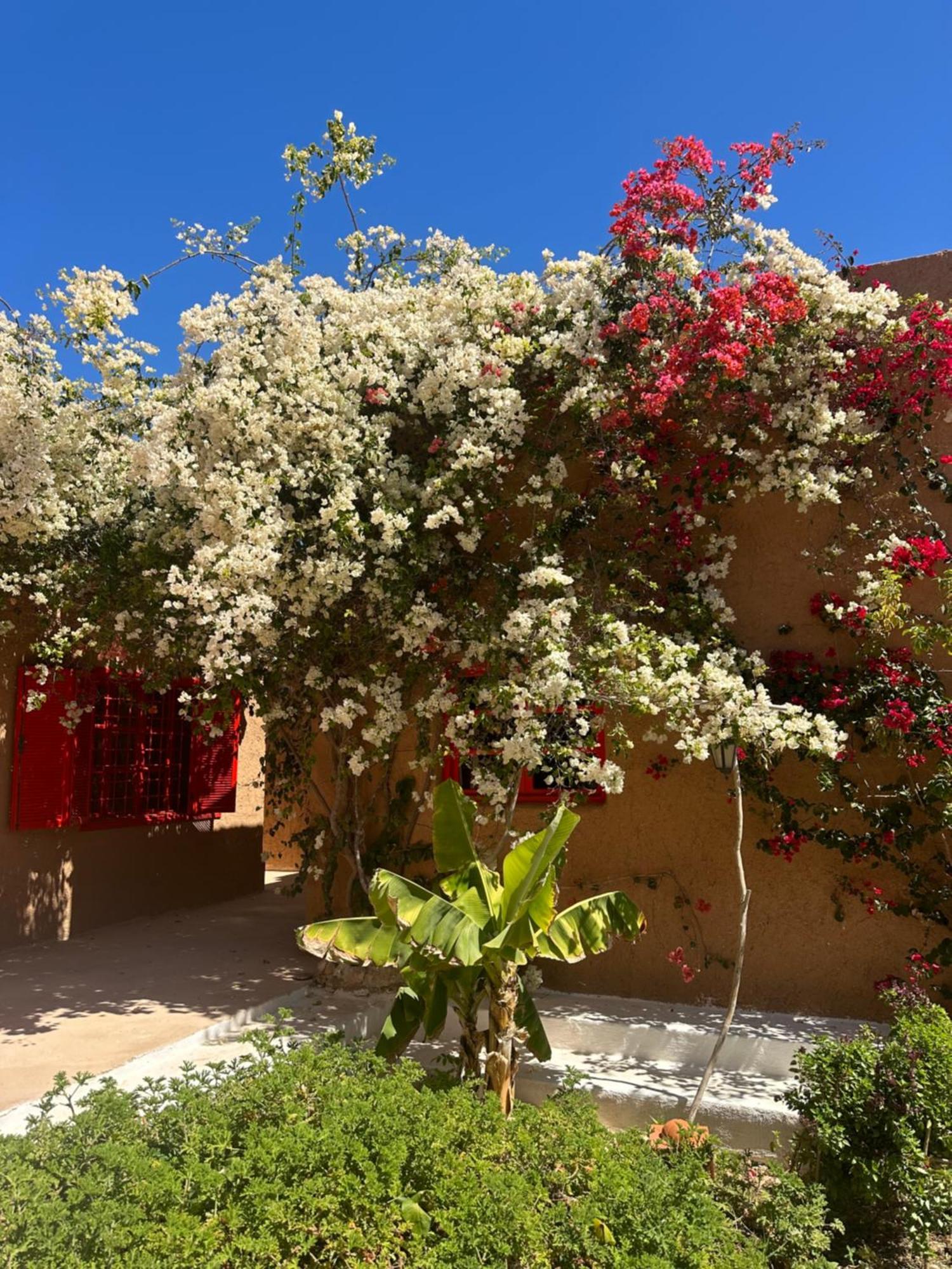 Dar Tawarta Guest House Dakhla Exterior photo